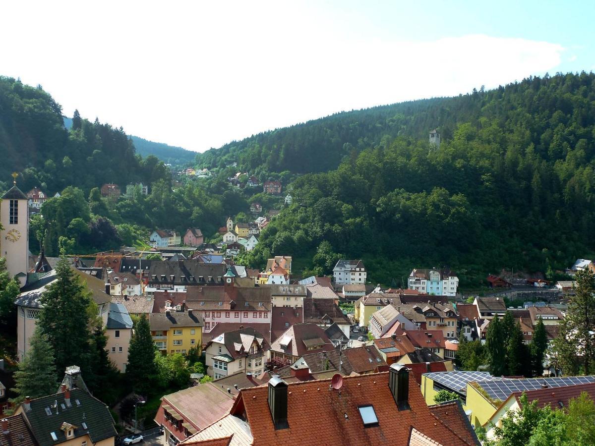 Apartment Maier-2 By Interhome Triberg im Schwarzwald Εξωτερικό φωτογραφία