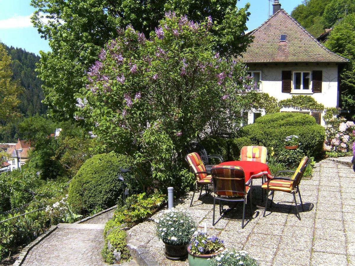 Apartment Maier-2 By Interhome Triberg im Schwarzwald Εξωτερικό φωτογραφία