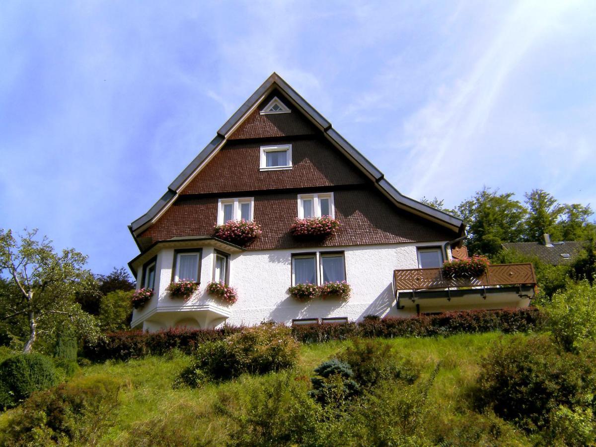 Apartment Maier-2 By Interhome Triberg im Schwarzwald Εξωτερικό φωτογραφία